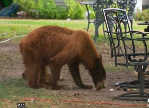 ������������������ű�������լ��Ժ��ʳ̽��