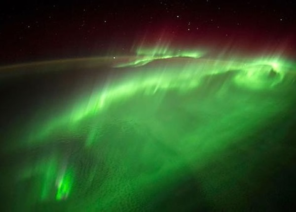 ���沶׽�������ļ���Ӱ��