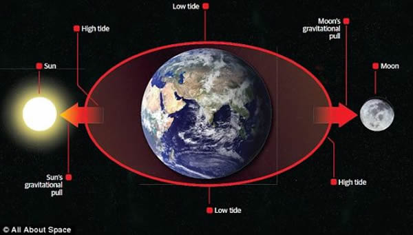 月球的存在可能帮助促成了地球上早期生命的出现,这是因为月球的引力帮助稳定了地球的自转轴倾角,维持了气候的稳定,并驱动了地球海洋中的潮汐运动。海边的小池塘正是生命