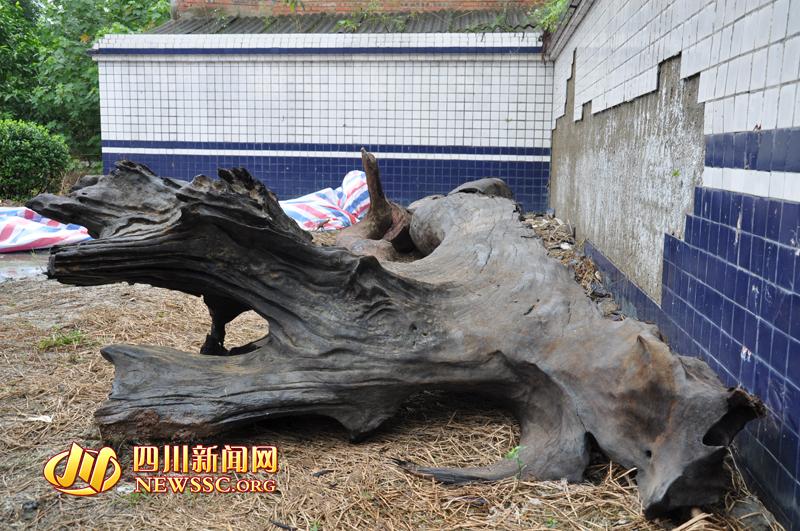 �Ĵ������ش����ں��д��Գ�ǧ����ľ ������������6000Ԫ