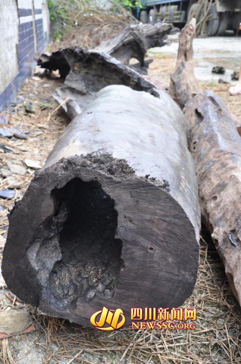 �Ĵ������ش����ں��д��Գ�ǧ����ľ ������������6000Ԫ