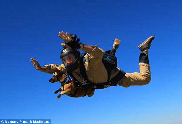 ��������Ȯ��������ɡ