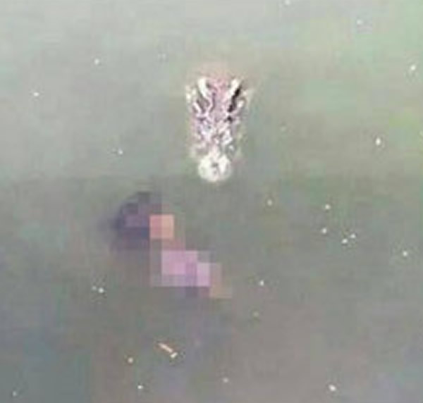 泰国老妇跳入住着1000多只鳄鱼的北榄鳄鱼湖自杀