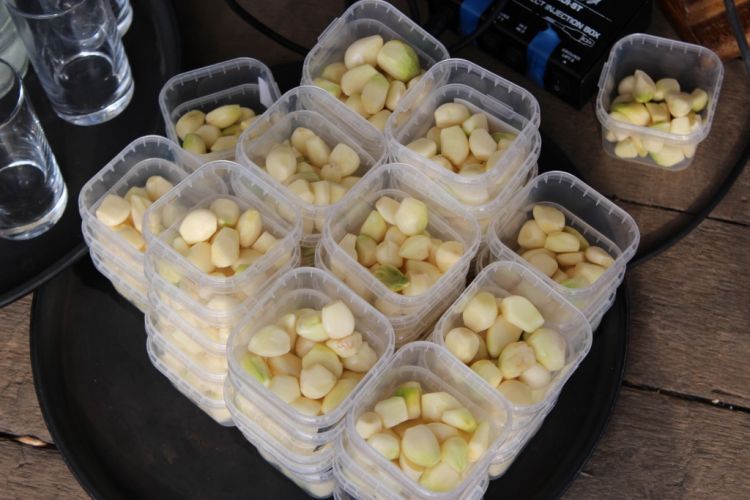 ����������õ���ͷ����Ϊ����ǰ���ʲ�ժ������ζ��������