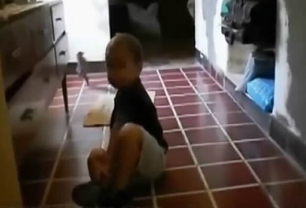 网上疯传“女子家中拍到诡异人形生物”视频