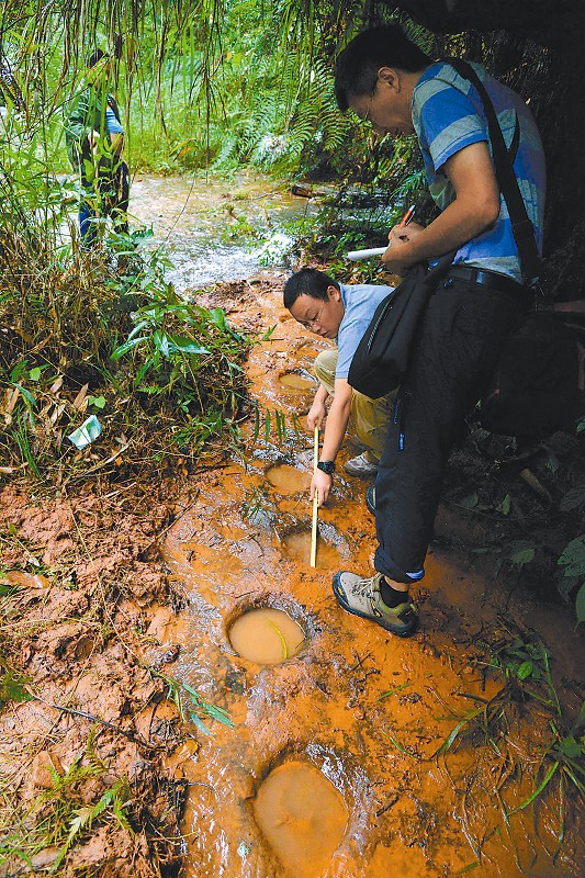 叙永县大石乡龙井村发现的鸟脚类恐龙足迹
