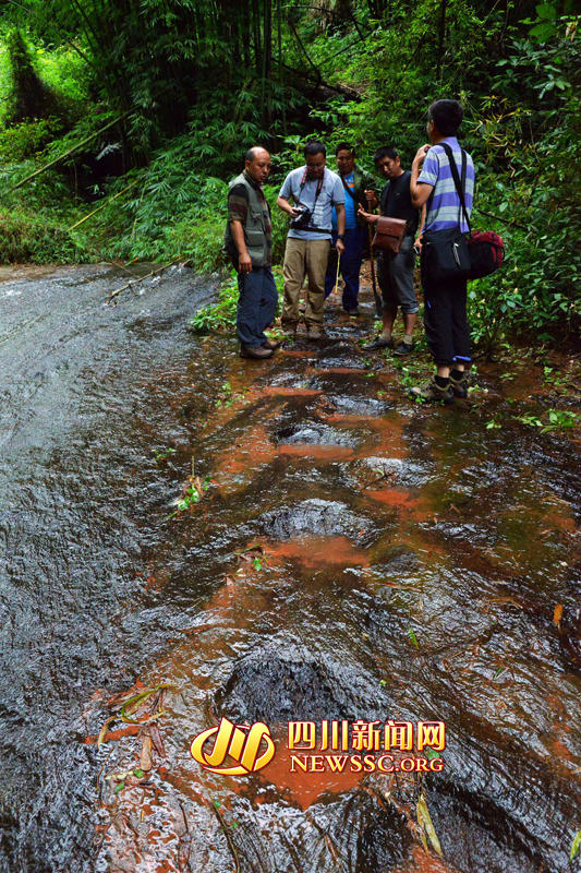 专家测量龙井村发现的鸟脚类恐龙足迹