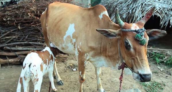 Сţ�ƺ�ûע�⵽�Լ��Ѿ�����Զ������Ȼ����ĸ�׵ĺǻ���