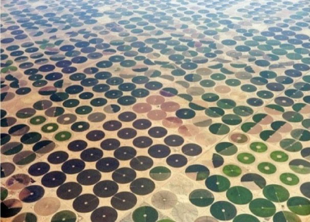 ɳ�ذ�����ɳĮ�������ء���ɫCD��