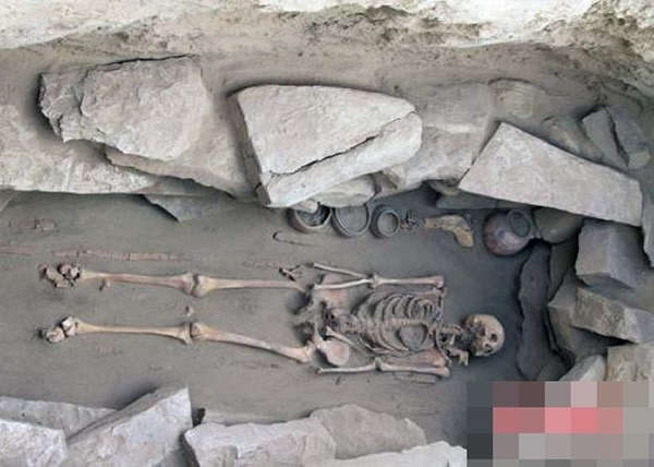 ��ʽȫΪ����ֱ֫��ͷ���Ŷ���