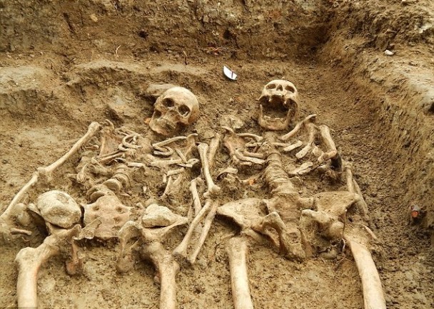 Ӣ����ׯС�����ڳ�7����ǰ���˺���