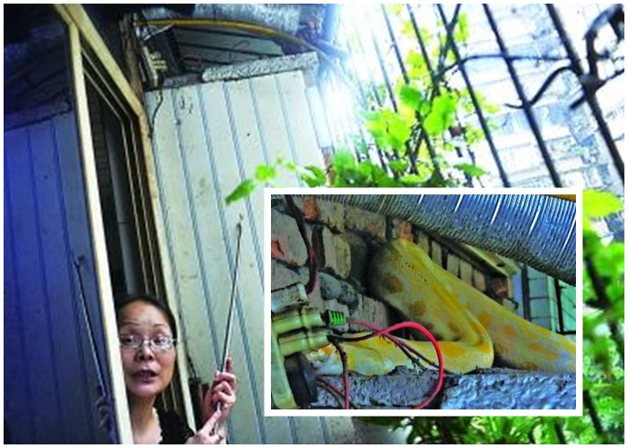 ������ס������5�׳����������֤ʵΪ¥��ס�����С�