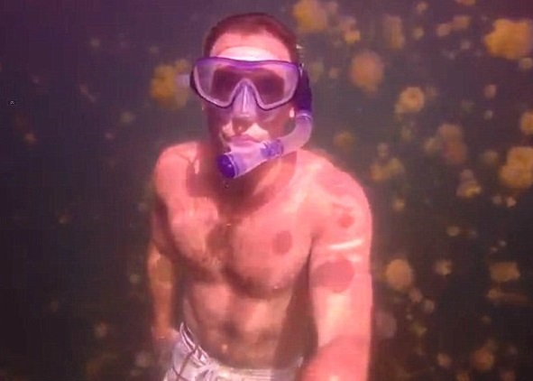 加拿大男教师勇闯水母湖 与千万水母畅泳