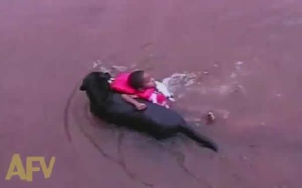 �Ѿ�Ȯ������Ӫ�ȡ���δ����Ϸˮ�к�����Ƶ��YouTube�ϴ���