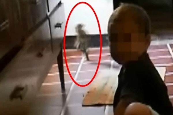 阿根廷一位妈妈给孩子拍照时惊见人形小生物