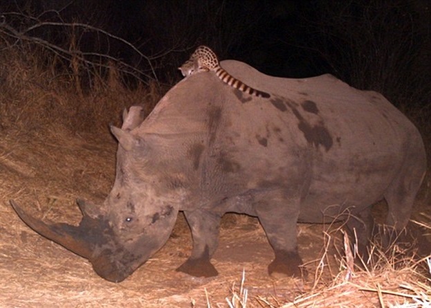 ר�ҹ��ưߪ�����Ϭţ�ϣ�������ϣ����ø������ߡ�