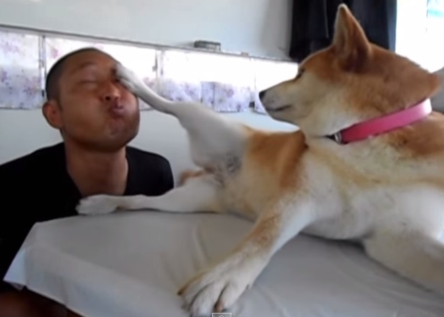 �ձ�һ�������Ǳ���Ȯһ���쿪