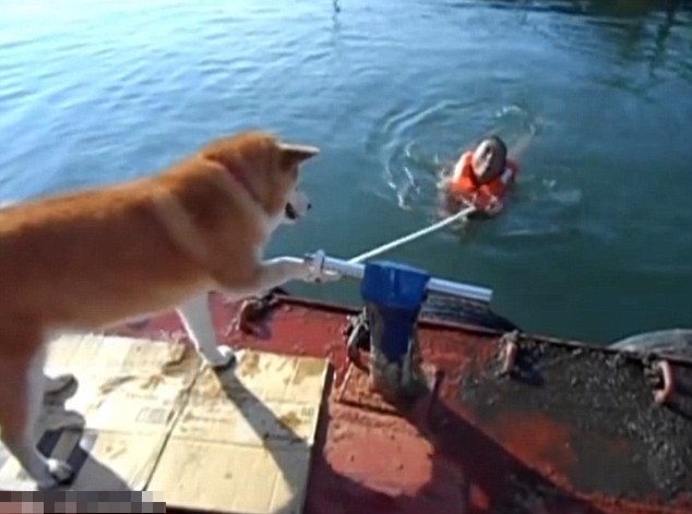 �����������磬����������ʩԮ�֣�������������ˮ��