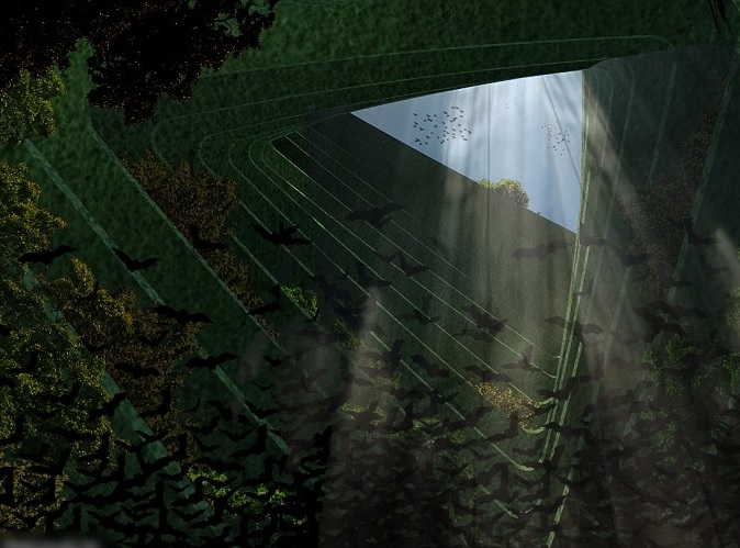 ����ɫ����������һ���ֲ��Ⱥ���ɡ�