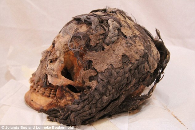 埃及古城阿马尔那出土3千年前女性遗骸 70股复杂接发盘绕颅骨