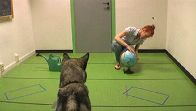 �����о����֣�����5���´��Ӥ��ӵ�в�������