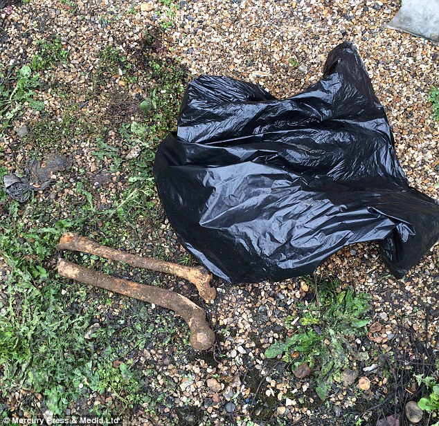 Ӣ������԰�����ڵ�2��150��ǰ��ͷ�׹�