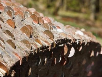 太阳系距离我们最远的矮行星妊神星表面被透明