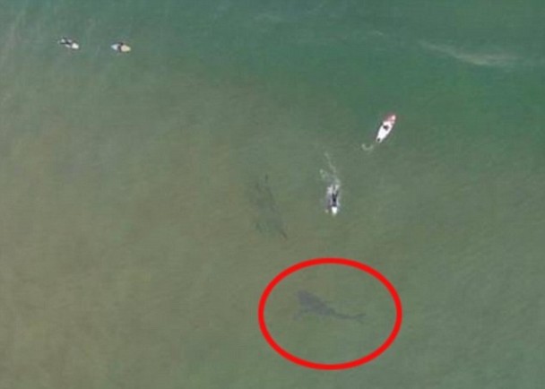 ���޳��˺�������������ȴ��Ȼ��֪