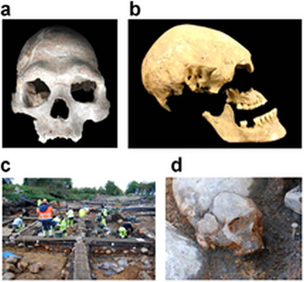 欧洲人的血统可追溯至3个高度分化、彼此不同的远古人群