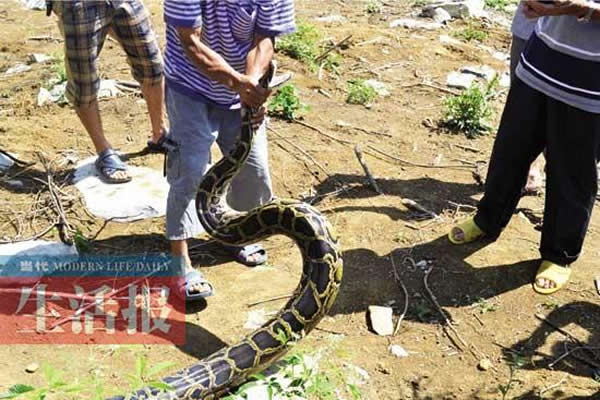 ����ץ��Ĵ�����