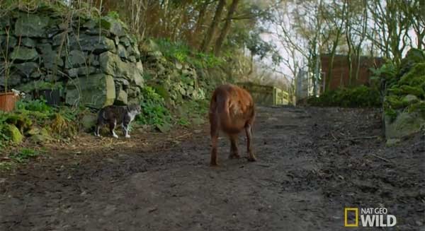 è��С��������������äȮTervel����ɢ������ʱ�����ͷ�����Ϲ���û�и��ϡ�