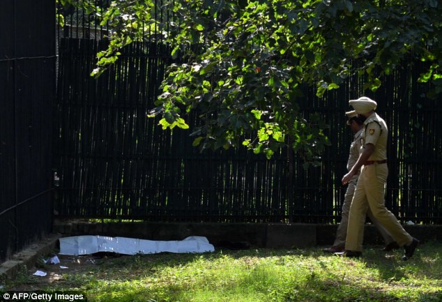 印度新德里动物园游客意外闯入老虎地头被活活咬死