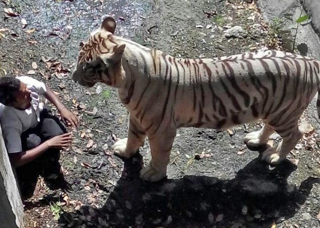 马苏德死前一刻的情况曝光