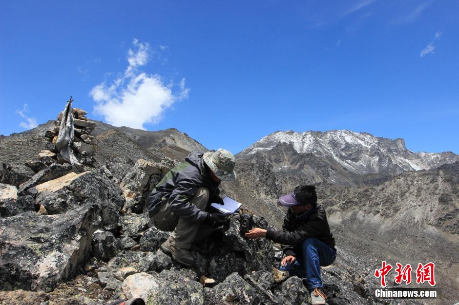 �����������Ҽ���Ȼ�������״��ĵ�Ұ��ѩ��