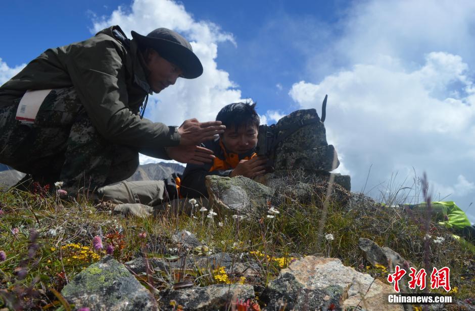 �����������Ҽ���Ȼ�������״��ĵ�Ұ��ѩ��