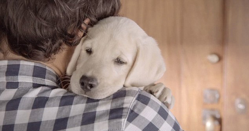 �����˽��İ�����������Ȯ���ڼ���