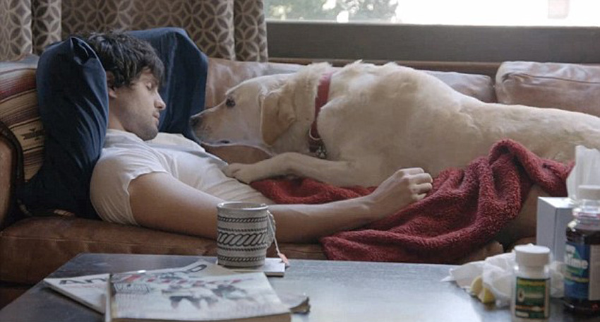 ��������ɳ����˯���ˣ���������Ȯ����ȥ�������ıǼ⡣