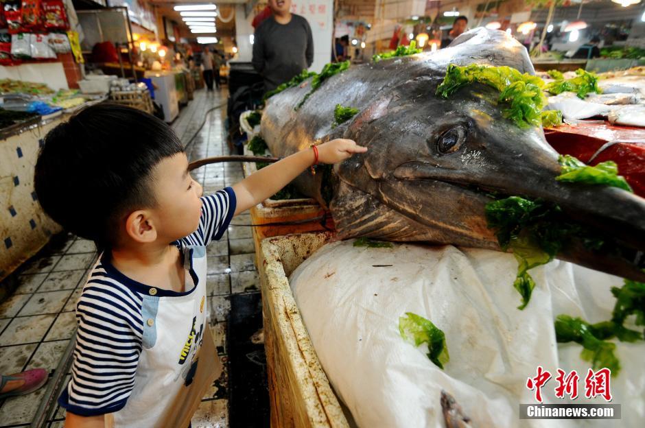 �ൺ���񲶻���͡���������