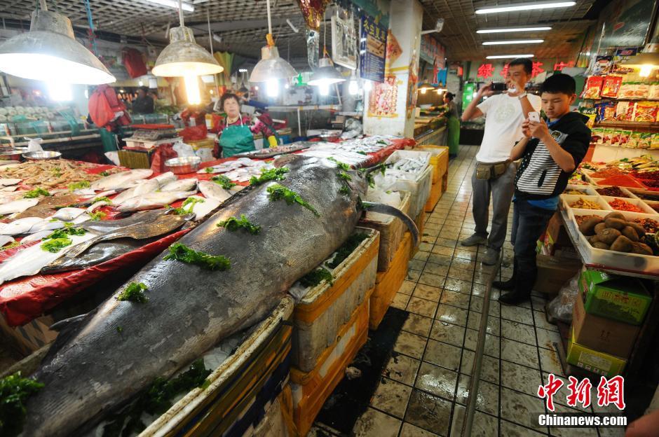 �ൺ���񲶻���͡���������