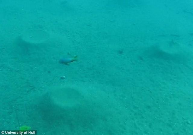 ӢоԱִı佨ɳ״ĸĽʣζִʺڽ䣬򽫽ͬδٽԽ