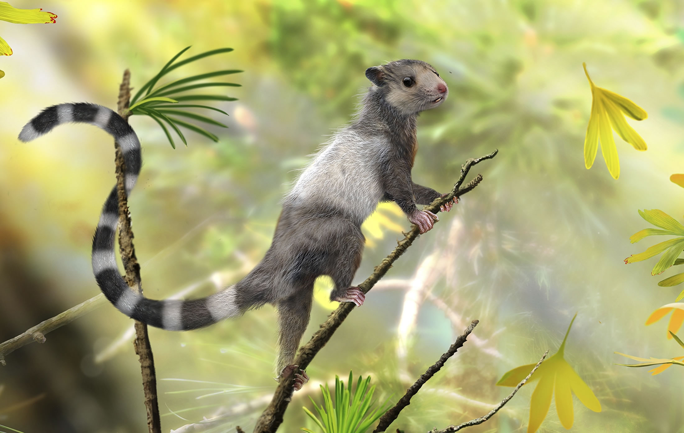 新近在辽宁省发现的3种大小与松鼠相当的小型动物化石显示哺乳动物早在大约2亿年前便已经出现在地球上。这是一张化石复原图,展示其中一种哺乳动物:宋氏仙兽生前可能的样