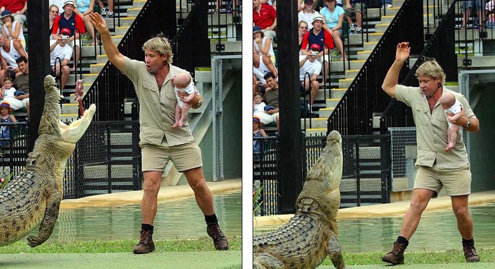 2004�꣬�ġ����㲶�֡�ʷ�ٷ�ŷ�������Ż���Ӥ�����޲���ιʳ���㣬�˾����������顣