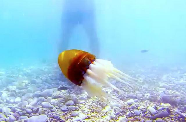 ��ѧ����������һ�ִ�����״�ṹ����������ˣ������������ζ��ٶȣ�ÿ���ζ�180����