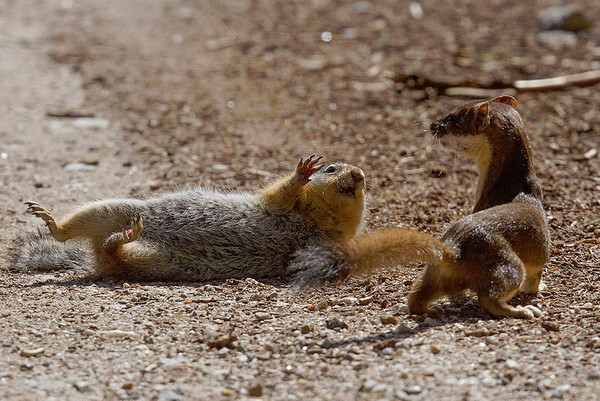 ӰʦChristine Haines»ױǵ򶷵˲䡣