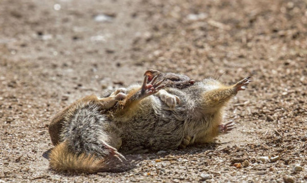 ӰʦChristine Haines»ױǵ򶷵˲䡣