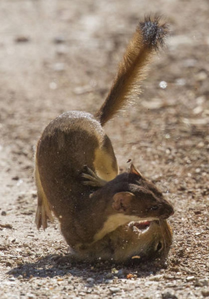 ӰʦChristine Haines»ױǵ򶷵˲䡣