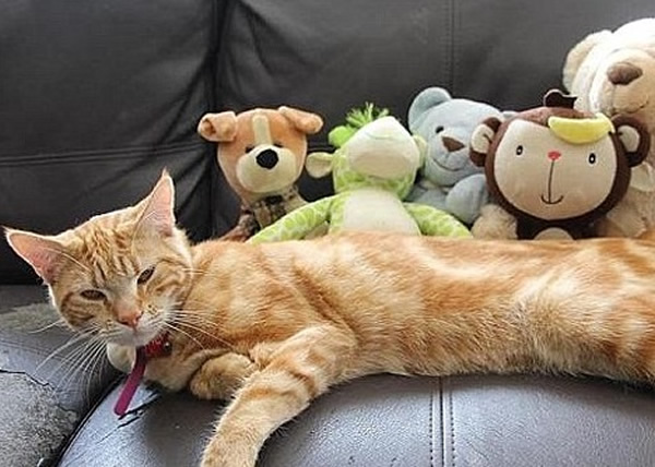 èè·(ǰ)ҹֳţë͵ؼҡ