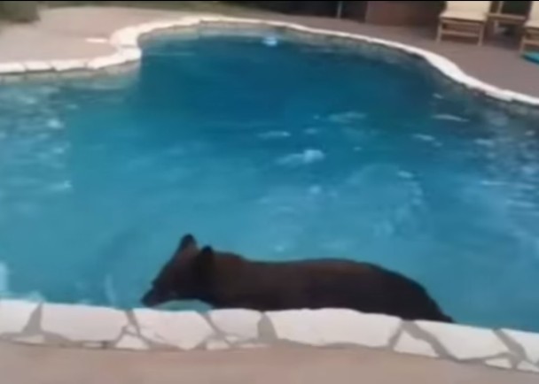 �����������ҵ�Ӿ���г�Ӿ