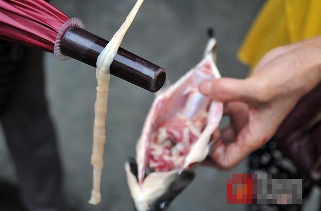 四川自贡妇人买鱼剖开惊现半米长寄生虫“绛虫”