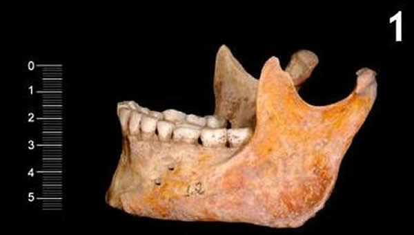 对两具7000年前人类遗骸的研究发现现代英国人来源于西班牙